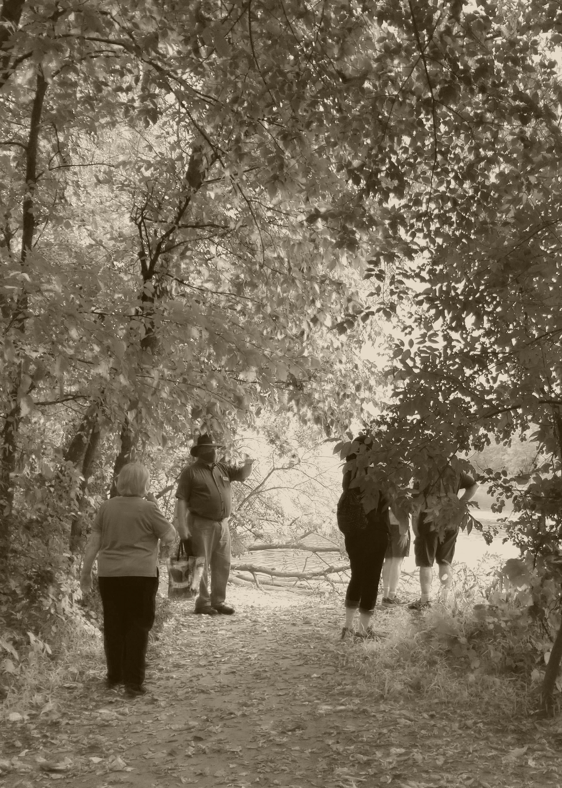 Sepia-toned image of a group walking along a path in a wooded area