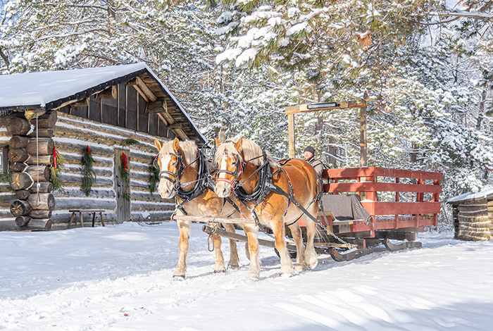 Two horses pulling a sleigh in the wintertime.