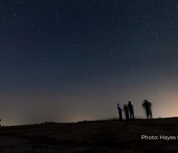 people observing night sky