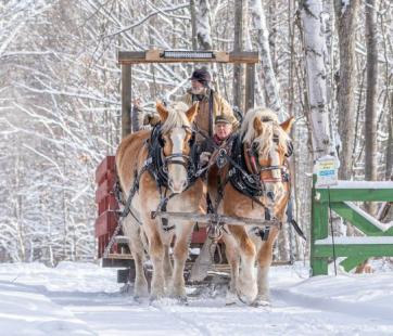 Winter Sleigh Rides Forest History Center